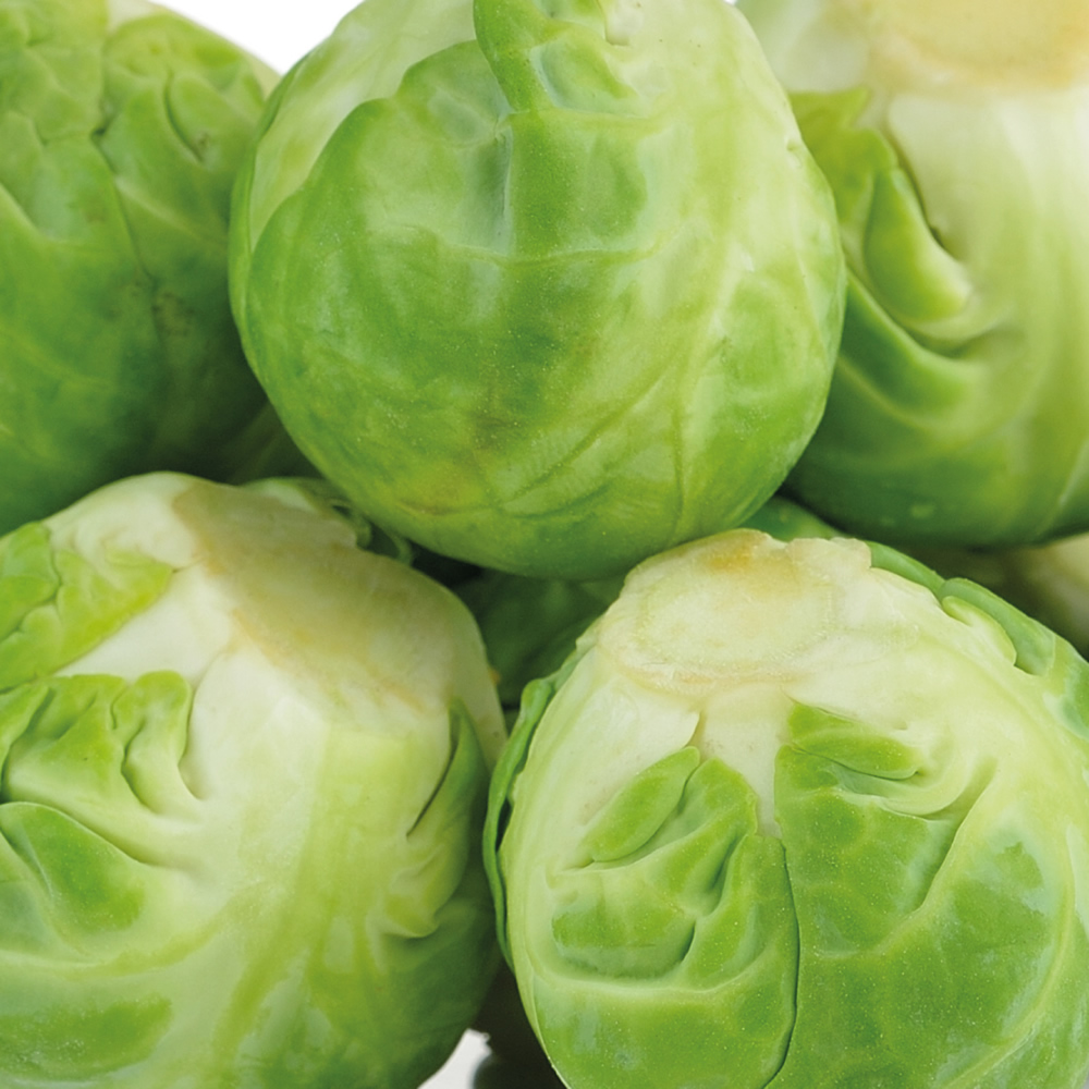 Brussels Sprouts