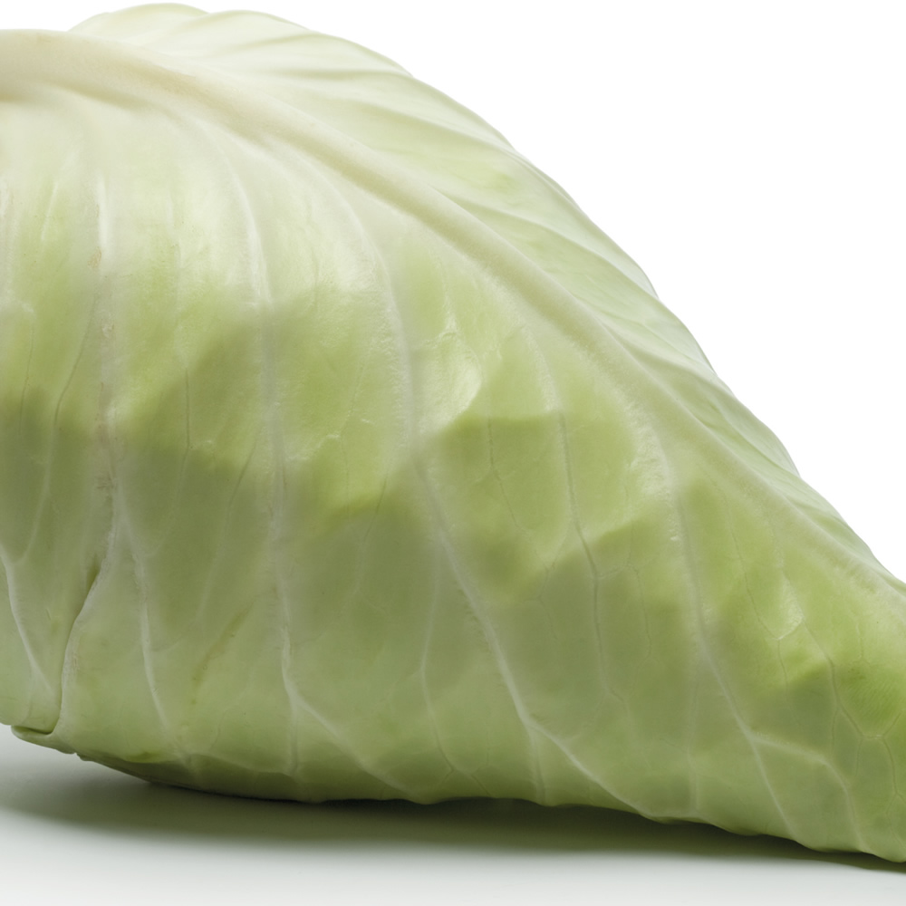 Pointed Cabbage