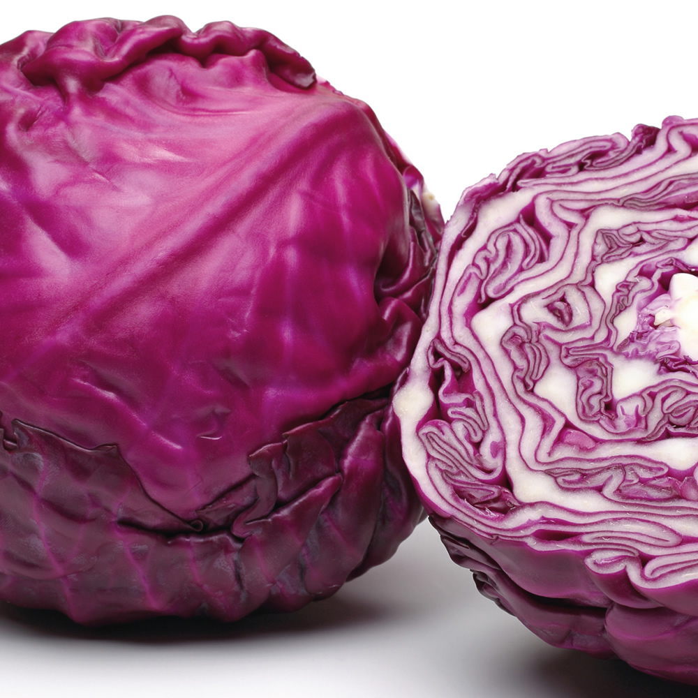 Red Cabbage