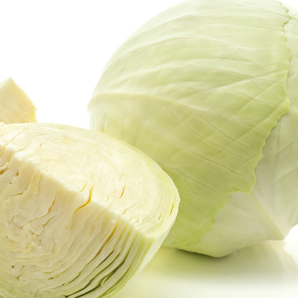 White Cabbage