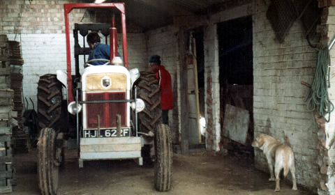 Image 20